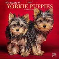 Yorkshire Terrier Puppies the Beauty of -- Paperback