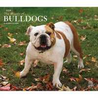 Bulldogs the Beauty of 2024 Deluxe Stkr -- Paperback