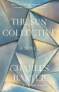 The Sun Collective : A Novel (Vintage Contemporaries)