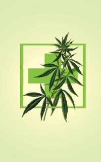 Cannabis Rating Journal - Medical Marijuana : 5 X 8 Discreet 200 Page Blank Form THC CBD Cannabis Rating Journal Perfect for Medical Cannabis or Recreational Use