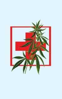 Cannabis Rating Journal - Medical Marijuana Red : 5 X 8 200 Page Blank Form THC CBD Cannabis Rating Journal Perfect for Medical Cannabis or Recreational Use