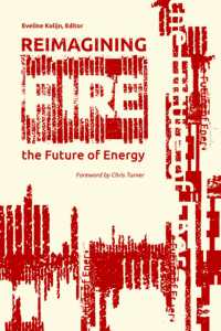 Reimagining Fire : The Future of Energy -- Paperback / softback