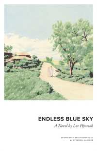 Endless Blue Sky : A Novel by Lee Hyoseok