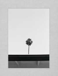 Palm : A visual study of Palm Springs, California