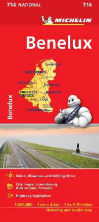 Benelux - Michelin National Map 714 : Map