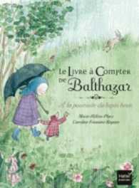 LE LIVRE A COMPTER DE BALTHAZAR - A LA POURSUITE DU LAPIN BRUN - PEDAGOGIE MONTESSORI (BALTHAZAR)