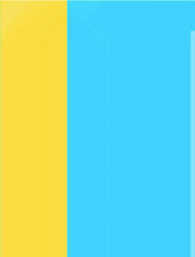 Perspectives En Arthroscopie 1 (Perspectives En Arthroscopie)