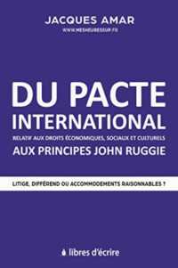 DU PACTE INTERNATIONAL RELATIF AUX DROITS ECONOMIQUES, SOCIAUX & CULTURELS AUX PRINCIPES JOHN RUGGIE (PRATIQUE)