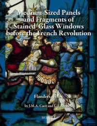 Silver-Stained Roundels and Unipartite Panels before the French Revolution : Flanders, Vol. 5: Medium-Sized Panels and Fragments of Large Stained-Glass Windows