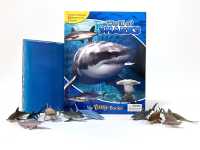 Sharkss (My Busy Book) （Board Book）