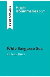 WIDE SARGASSO SEA BY JEAN RHYS (BOOK ANALYSIS) - DETAILED SUMMARY, ANALYSIS AND READING GUIDE