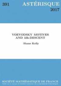 ASTERISQUE N. 391/2017: VOEVODSKY MOTIVES AND L DH-DESCENT (ASTERISQUE)