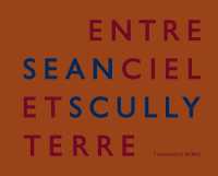 Sean Scully: Entre Ciel Et Terre