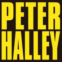 PETER HALLEY: SINCE 2000 /ANGLAIS (MARUANI & NOIRH)