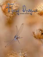 FLYING DRAGONS (BEAUX LIVRES)