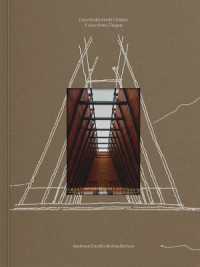 Apaloosa Estudio de Arquitectura: A View from Chiapas