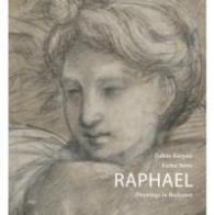 Raphael :Triumph of Perfection : RRenaissance Drawings and Prints from the Museum of Fine Arts in Budapest