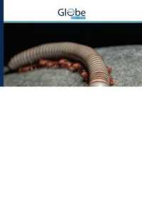 Variatie in copulatieduur in wormachtige duizendpoten