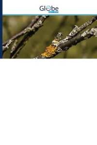 Kyrillischer Titel （2023. 180 S. 220 mm）