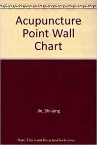 Acupuncture Point Wall Chart (French-Chinese)