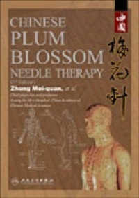 Chinese Plum Blossom Needle （3TH）
