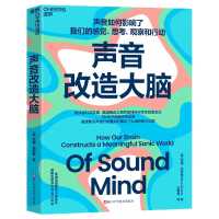 Sound Modification Brain