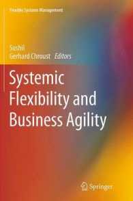 Systemic Flexibility and Business Agility (Flexible Systems Management)