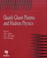 Quark Gluon Plasma and Hadron Physics