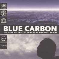 Blue Carbon: The Role of Healthy Oceans in Binding Carbon