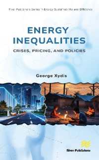 Energy Inequalities: Crises, Pricing, and Policies (River Publishers Series in Energy Sustainability and Efficiency)