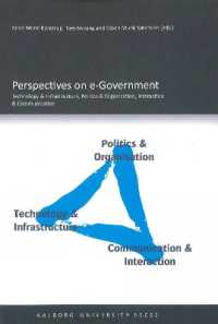 Perspectives on e-Government : Technology & Infrastructure, Politics & Organisation, Interaction & Communication