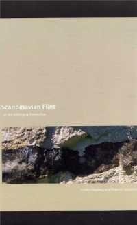 Scandinavian Flint : An Archaeological Perspective