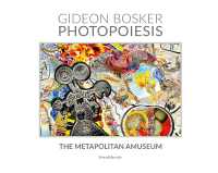 Photopoiesis : the metapolitan amuseum