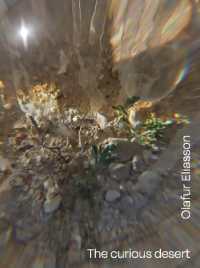 Olafur Eliasson : the curious desert