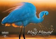 The Magic Moment : Extraordinary Photographs of Nature