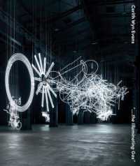 Cerith Wyn Evans : ".... the illuminating gas"