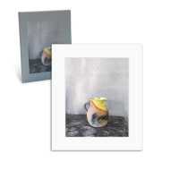 Joel Meyerowitz : Czanne's Objects （Limited）