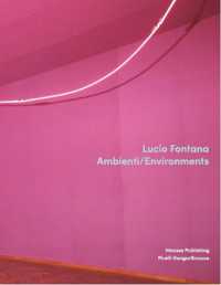 Lucio Fontana: Environments
