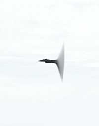 Andrea Galvani