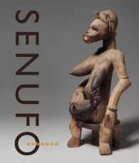 Senufo Unbound : Dynamics of Art and Identity in West Africa