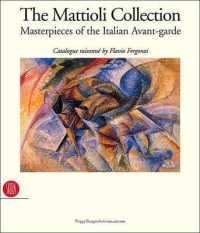 The Mattioli Collection : Masterpieces of the Italian Avant-Garde