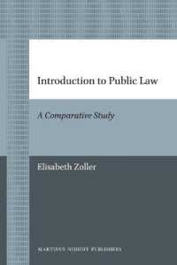 Introduction to Public Law : A Comparative Study (Brill's Paperback Collection)