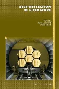 Self-reflection in Literature (Internationale Forschungen zur Allgemeinen und Vergleichenden Literaturwissenschaft)
