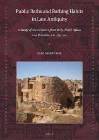 Public Baths and Bathing Habits in Late Antiquity : A Study of the Evidence from Italy, North Africa and Palestine A.D. 285-700 (Late Antique Archaeology (Supplementary Series))