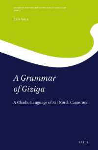 A Grammar of Giziga : A Chadic Language of Far North Cameroon (Grammars and Sketches of the World's Languages / Africa)