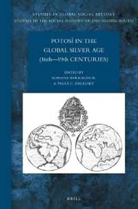 Potosí in the Global Silver Age (16th—19th Centuries) (Studies in Global Social History / Studies in the Social History of the Global South)
