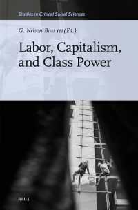Labor, Capitalism, and Class Power (Studies in Critical Social Sciences)