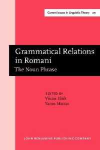 Grammatical Relations in Romani : The Noun Phrase. with a Foreword by Frans Plank (Universität Konstanz) (Current Issues in Linguistic Theory)