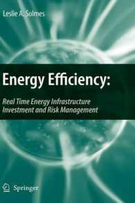 Energy Efficiency : Real Time Energy Infrastructure Investment and Risk Management