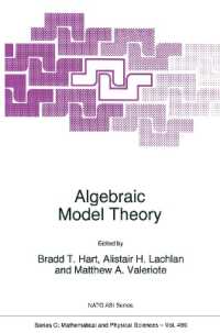 Algebraic Model Theory (NATO Science Series C)